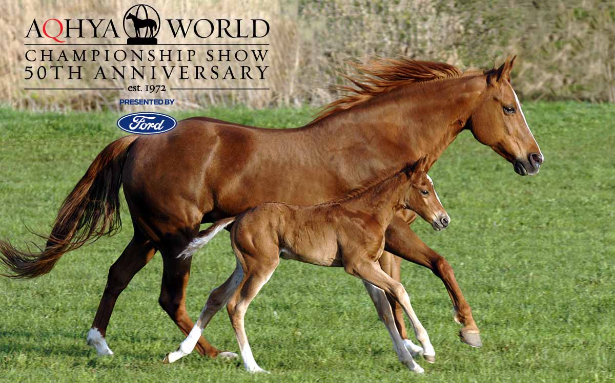 50th Anniversary Ford AQHYA World Championship Show