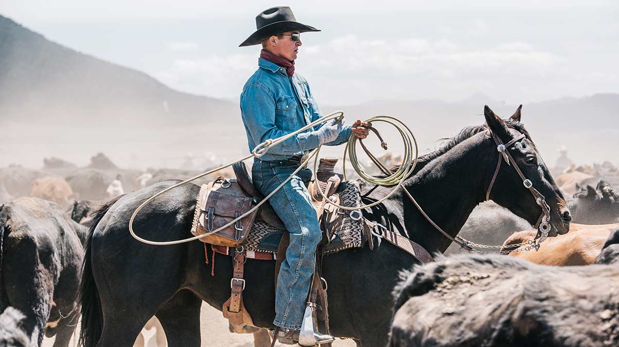 WRANGLER BUY 2 GET 1 FREE ON ALL COWBOY CUT PRODUCTS